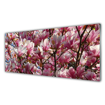 Plexiglas® Wall Art Branches flowers floral brown pink