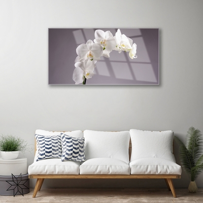 Plexiglas® Wall Art Flowers floral white