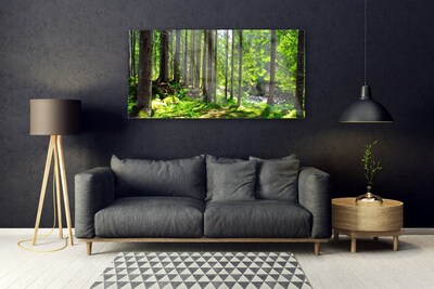 Plexiglas® Wall Art Forest nature brown green