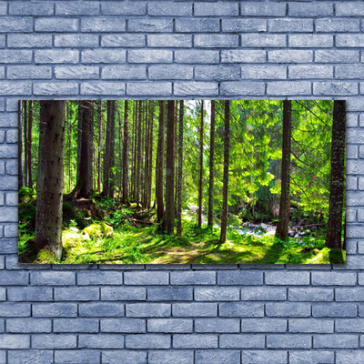 Plexiglas® Wall Art Forest nature brown green