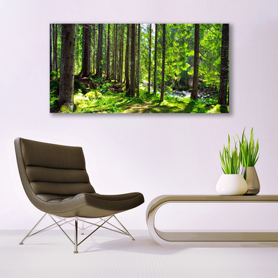 Plexiglas® Wall Art Forest nature brown green