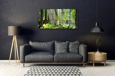 Plexiglas® Wall Art Forest nature brown green