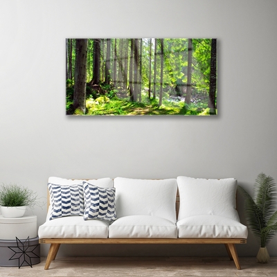 Plexiglas® Wall Art Forest nature brown green