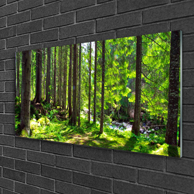 Plexiglas® Wall Art Forest nature brown green