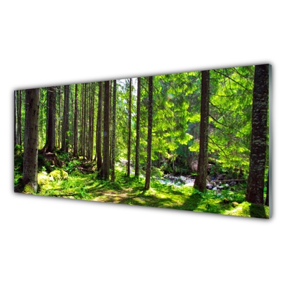 Plexiglas® Wall Art Forest nature brown green