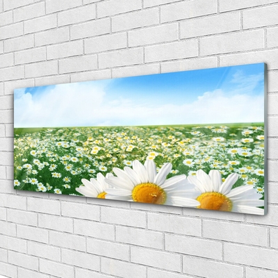 Plexiglas® Wall Art Meadow daisies floral green white yellow