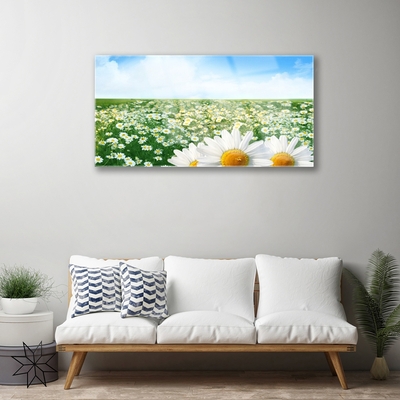 Plexiglas® Wall Art Meadow daisies floral green white yellow