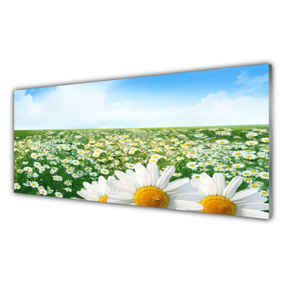 Plexiglas® Wall Art Meadow daisies floral green white yellow