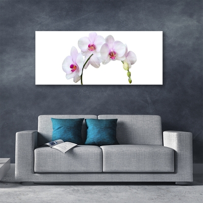 Plexiglas® Wall Art Flowers floral white pink