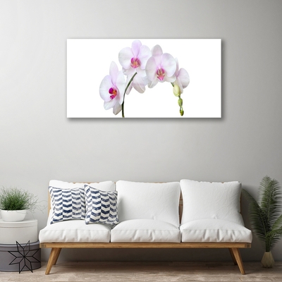 Plexiglas® Wall Art Flowers floral white pink