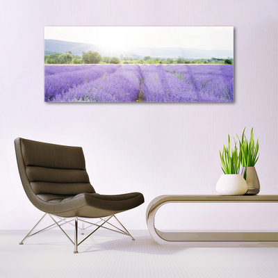 Plexiglas® Wall Art Meadow flowers nature purple