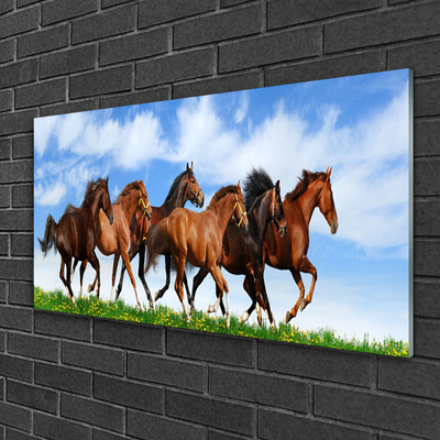 Plexiglas® Wall Art Horses animals brown white