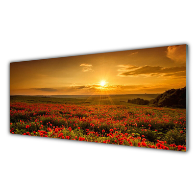Plexiglas® Wall Art Lake meadow flowers nature yellow green red