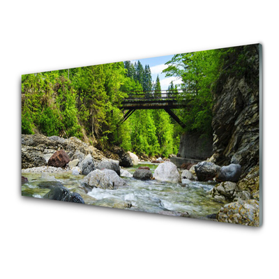 Plexiglas® Wall Art Forest bridge lake stones landscape brown green grey