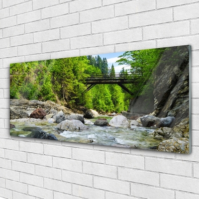 Plexiglas® Wall Art Forest bridge lake stones landscape brown green grey