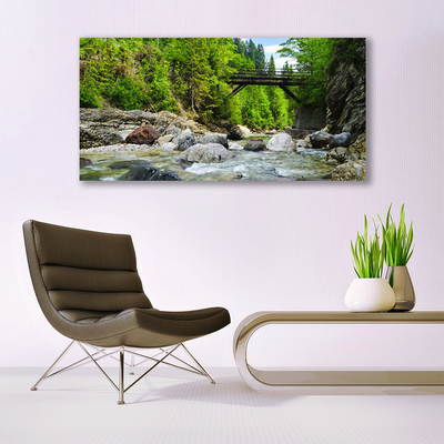 Plexiglas® Wall Art Forest bridge lake stones landscape brown green grey