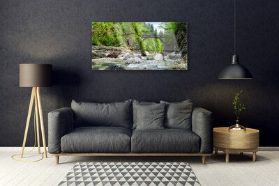 Plexiglas® Wall Art Forest bridge lake stones landscape brown green grey