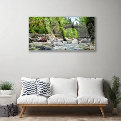 Plexiglas® Wall Art Forest bridge lake stones landscape brown green grey