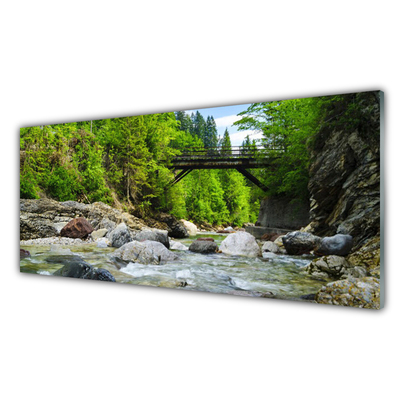 Plexiglas® Wall Art Forest bridge lake stones landscape brown green grey