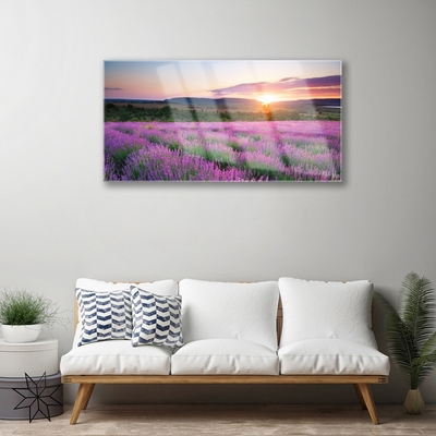 Plexiglas® Wall Art Sun meadow flowers nature yellow pink green