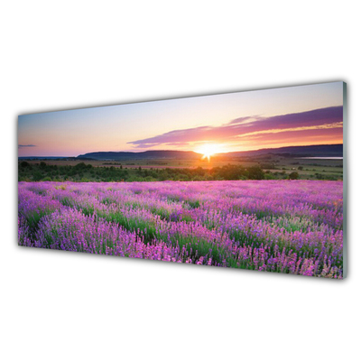 Plexiglas® Wall Art Sun meadow flowers nature yellow pink green