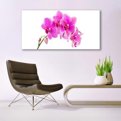 Plexiglas® Wall Art Flowers floral pink