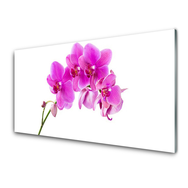 Plexiglas® Wall Art Flowers floral pink