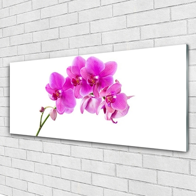 Plexiglas® Wall Art Flowers floral pink