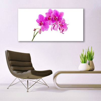 Plexiglas® Wall Art Flowers floral pink