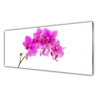 Plexiglas® Wall Art Flowers floral pink