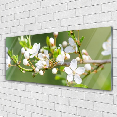 Plexiglas® Wall Art Branches flowers floral green white