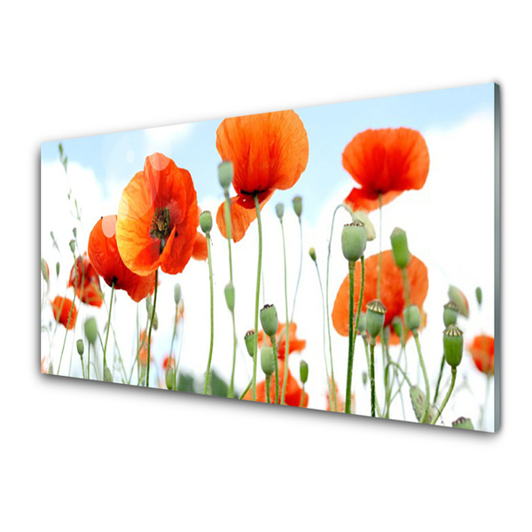 Plexiglas® Wall Art Poppies floral red