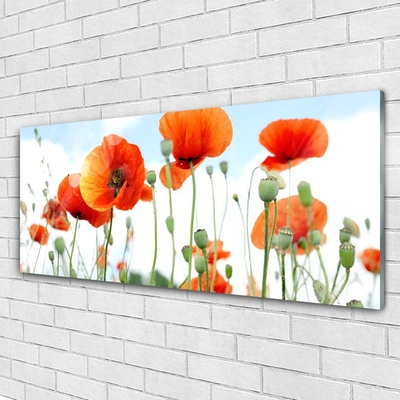 Plexiglas® Wall Art Poppies floral red