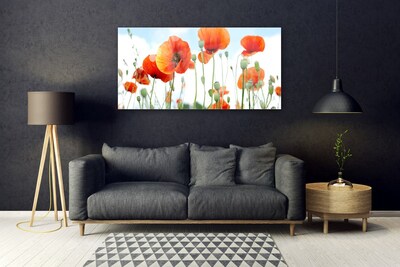 Plexiglas® Wall Art Poppies floral red