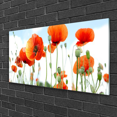 Plexiglas® Wall Art Poppies floral red