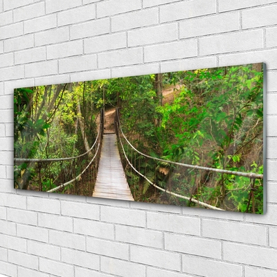 Plexiglas® Wall Art Bridge forest nature brown green