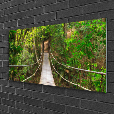 Plexiglas® Wall Art Bridge forest nature brown green