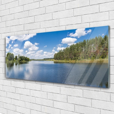 Plexiglas® Wall Art Forest lake landscape green blue