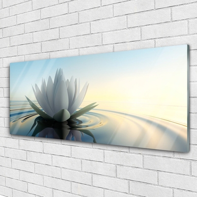 Plexiglas® Wall Art Flower water art white blue