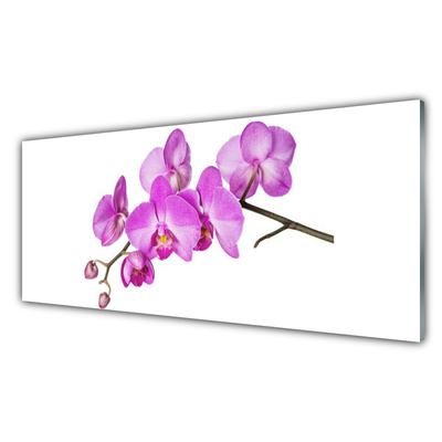 Plexiglas® Wall Art Flowers floral pink