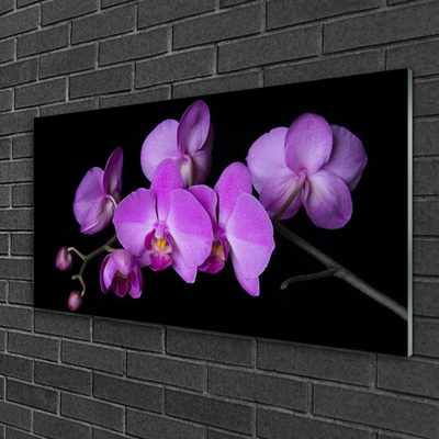 Plexiglas® Wall Art Flowers floral pink