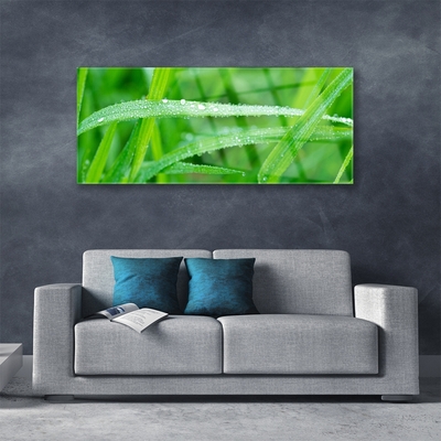 Plexiglas® Wall Art Grass nature green