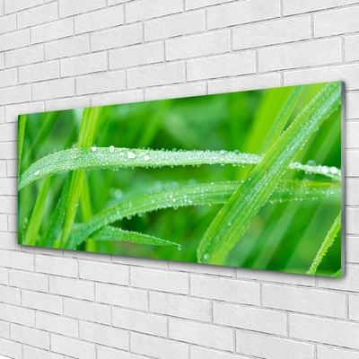 Plexiglas® Wall Art Grass nature green