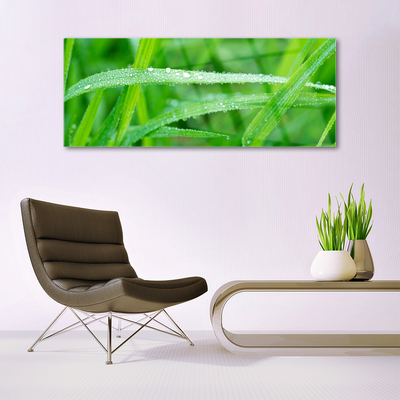 Plexiglas® Wall Art Grass nature green