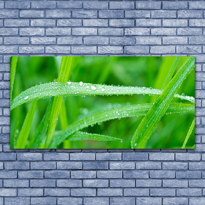 Plexiglas® Wall Art Grass nature green