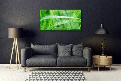 Plexiglas® Wall Art Grass nature green