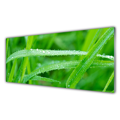 Plexiglas® Wall Art Grass nature green