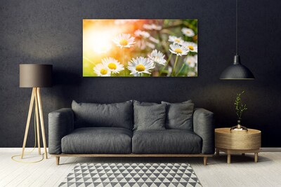 Plexiglas® Wall Art Daisy floral yellow white green