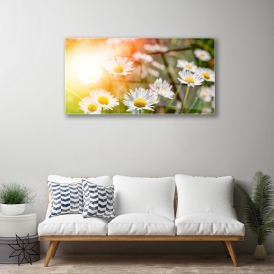 Plexiglas® Wall Art Daisy floral yellow white green