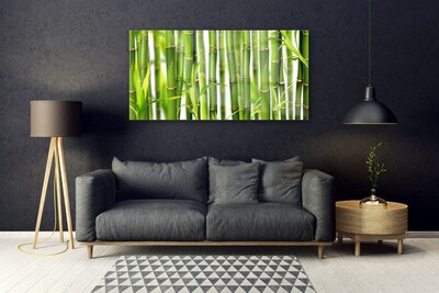 Plexiglas® Wall Art Bamboo stalks floral green